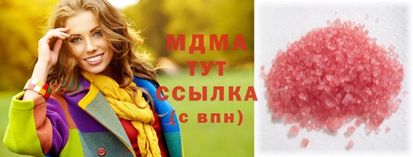 гашик Алексин