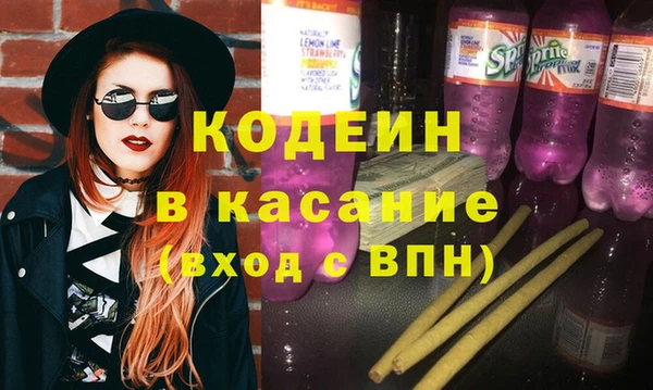 гашик Алексин