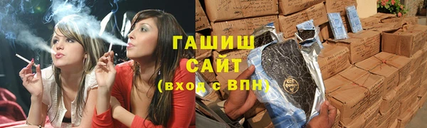 гашик Алексин